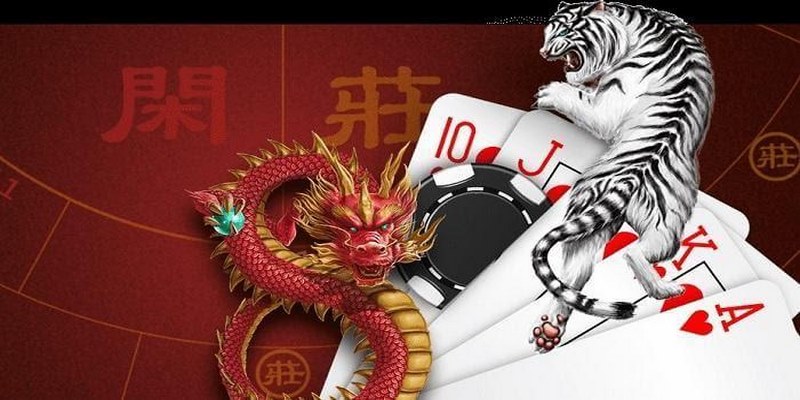 Cách chơi Rồng Hổ luôn thắng là cẩn trọng trong việc lựa chọn cửa cược